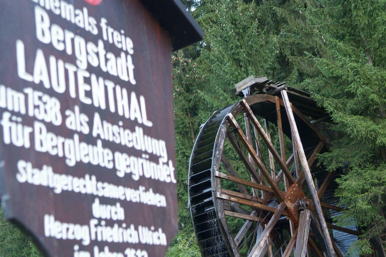 Ferienwohnung Harzblick Lautenthal Екстериор снимка