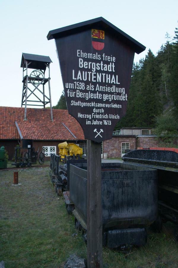 Ferienwohnung Harzblick Lautenthal Екстериор снимка